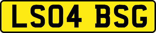 LS04BSG