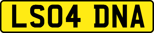 LS04DNA