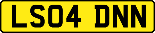 LS04DNN