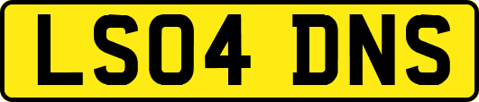 LS04DNS