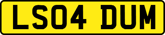 LS04DUM