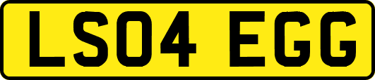 LS04EGG