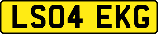 LS04EKG