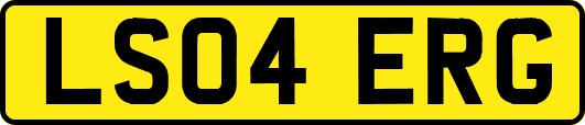 LS04ERG