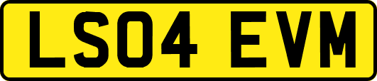 LS04EVM