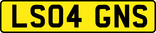 LS04GNS