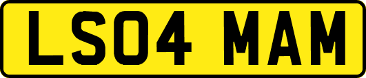 LS04MAM