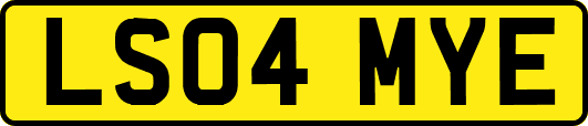 LS04MYE