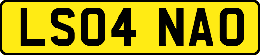 LS04NAO