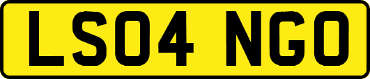 LS04NGO