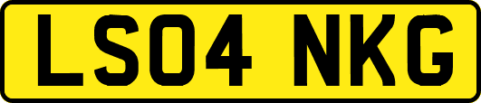 LS04NKG