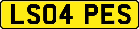 LS04PES