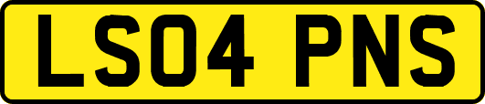 LS04PNS