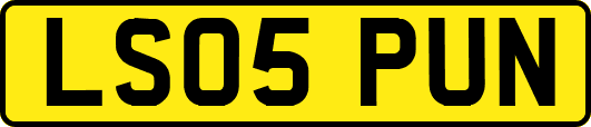 LS05PUN