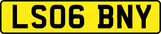 LS06BNY