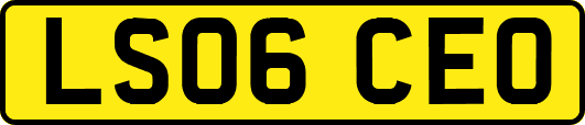 LS06CEO
