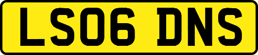 LS06DNS