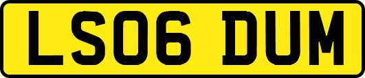 LS06DUM