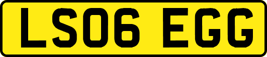 LS06EGG