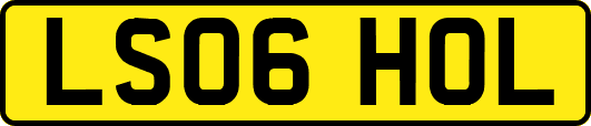 LS06HOL