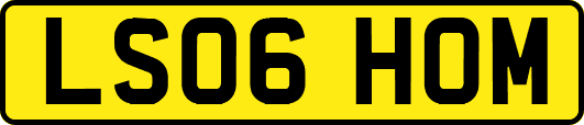 LS06HOM
