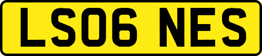 LS06NES