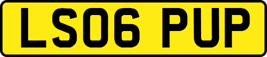 LS06PUP