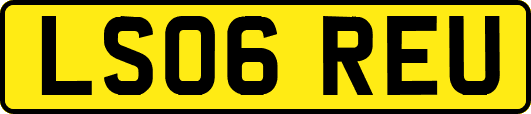 LS06REU