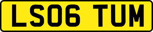 LS06TUM