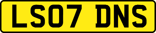 LS07DNS