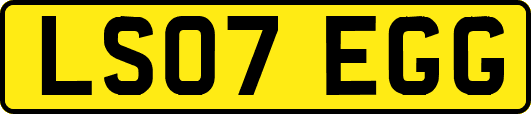 LS07EGG