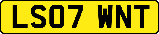 LS07WNT