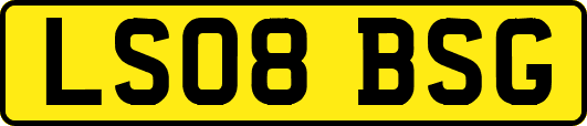 LS08BSG