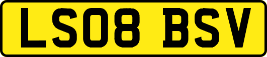 LS08BSV