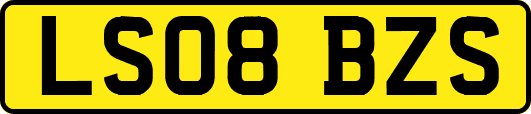 LS08BZS