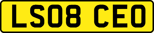 LS08CEO