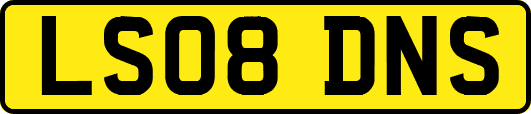 LS08DNS