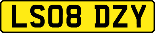 LS08DZY