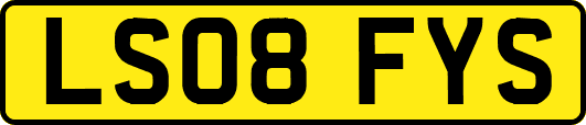 LS08FYS