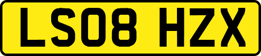 LS08HZX