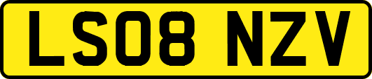 LS08NZV