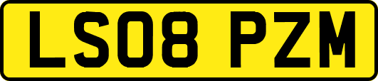 LS08PZM