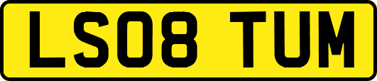 LS08TUM