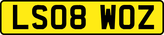 LS08WOZ
