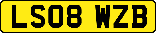 LS08WZB