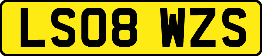 LS08WZS