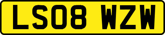 LS08WZW