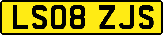 LS08ZJS