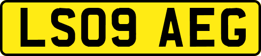LS09AEG