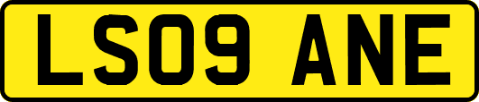 LS09ANE